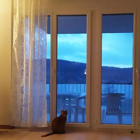Du Lac De Joux Apartment